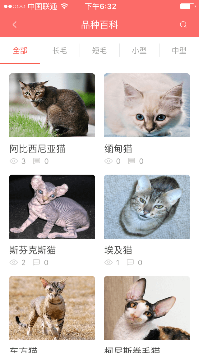 猫语者